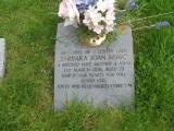 image of grave number 244846